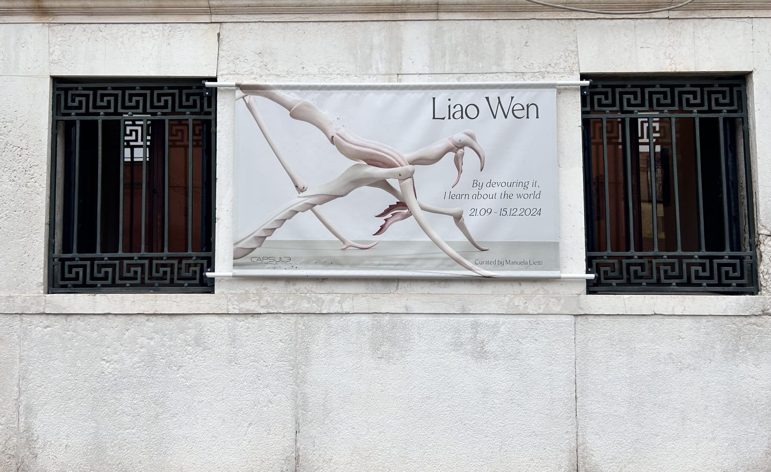 Liao Wen Venice exhibition banner